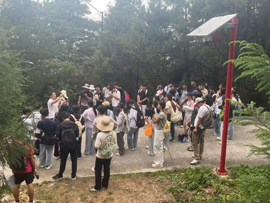 510691acc66346c8c036ed035ab879c4